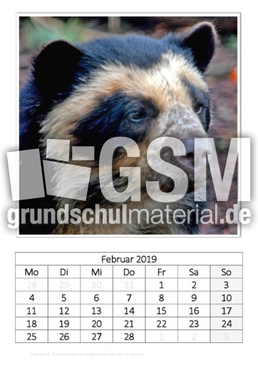 Februar_Brillenbär_1.pdf